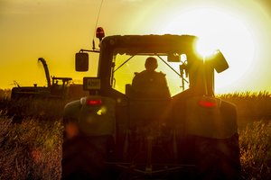 Daugiausiai apsvaigusių žmonių į darbą ateina žemės ūkio ir komunalinių paslaugų sektoriuose