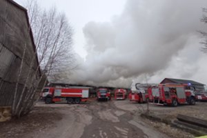 Klaipėdos rajone degė medienos apdirbimo įmonė – gesino gausios pajėgos, žuvo ugniagesys