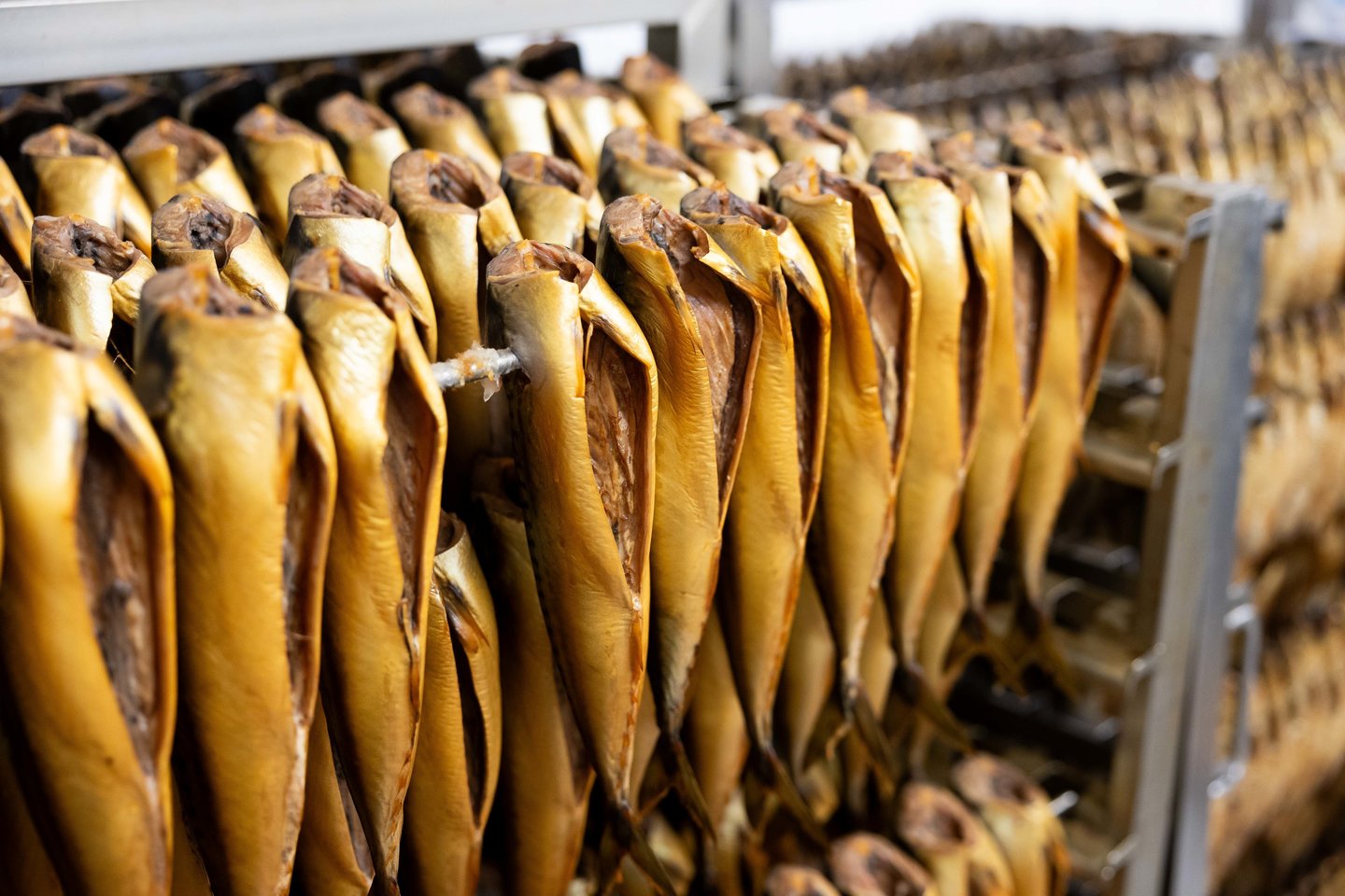 Pirmasis svarbus etapas prieš rūkant žuvį, kokybiškai ją atšildyti – šiam procesui Kėdainių kulinarijos ir žuvies ceche pasitelkiama moderni žuvies atšildymo dulksna technologija.<br>T.Bauro nuotr.