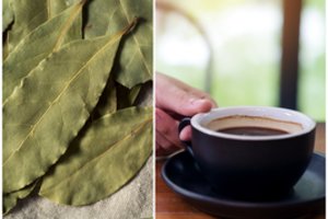 Kodėl į kavą reikia dėti lauro lapų: sužinoję priežastį, darysite tai kiekvieną rytą
