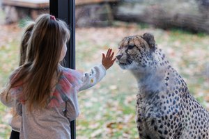 Lietuvos zoologijos sode per metus pasaulį išvydo daugiau nei 140 tūkst. jauniklių