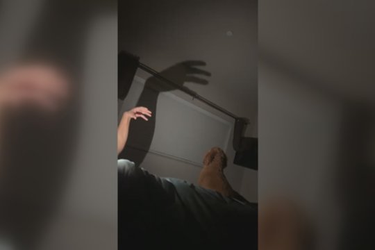 Nakties šešėliai suglumino keturkojį: pamatykite, kaip reagavo