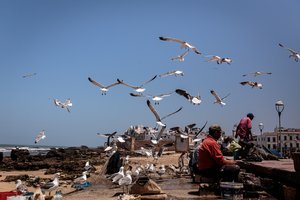 Maroką supurtė 5,2 balo žemės drebėjimas