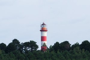 Vieną parą įvažiavimas į Neringą nieko nekainuos