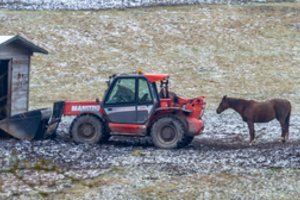 G. Paluckas: Lietuva privalo didinti žemės ūkio sektoriaus sukuriamą pridėtinę vertę