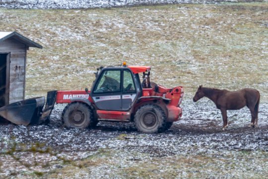 G. Paluckas: Lietuva privalo didinti žemės ūkio sektoriaus sukuriamą pridėtinę vertę