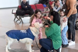Oro uoste – zen šuo: kovoti su stresu keliautojams padeda auksaspalvis retriveris