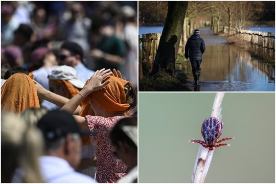 Įspėja – šie reiškiniai kels vis didesnę grėsmę žmonių sveikatai, o tam ruoštis turi ir Lietuva