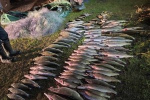 Brakonieriai siaubė ir draustinį: žala gamtai siekia 21 tūkst. eurų