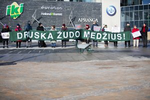 Sostinės savivaldybė apie protestą dėl Vilniaus medžių būklės: druskos šiemet barstėme dvigubai mažiau