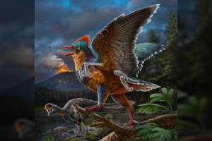 Putpelės dydžio dinozauras perima ankstyviausio paukščio titulą