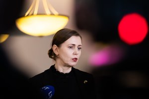 D. Šakalienė sutinka su G. Palucko pozicija dėl Rusijos grėsmės