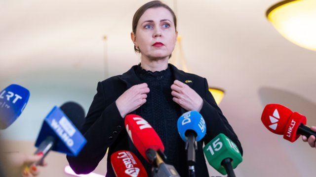 D. Šakalienė: NATO valstybių požiūris į gynybos finansavimą visiškai pasikeitė