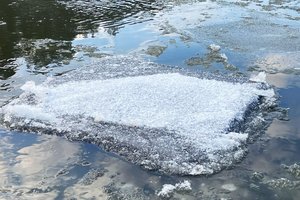 Atšalus orams, Nemunu iš Baltarusijos ėmė dreifuoti kontrabandininkų „lytys“