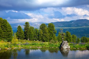 „Žinovų klubo“ testas. Ar žinote, kas kaip vadinasi gamtoje?