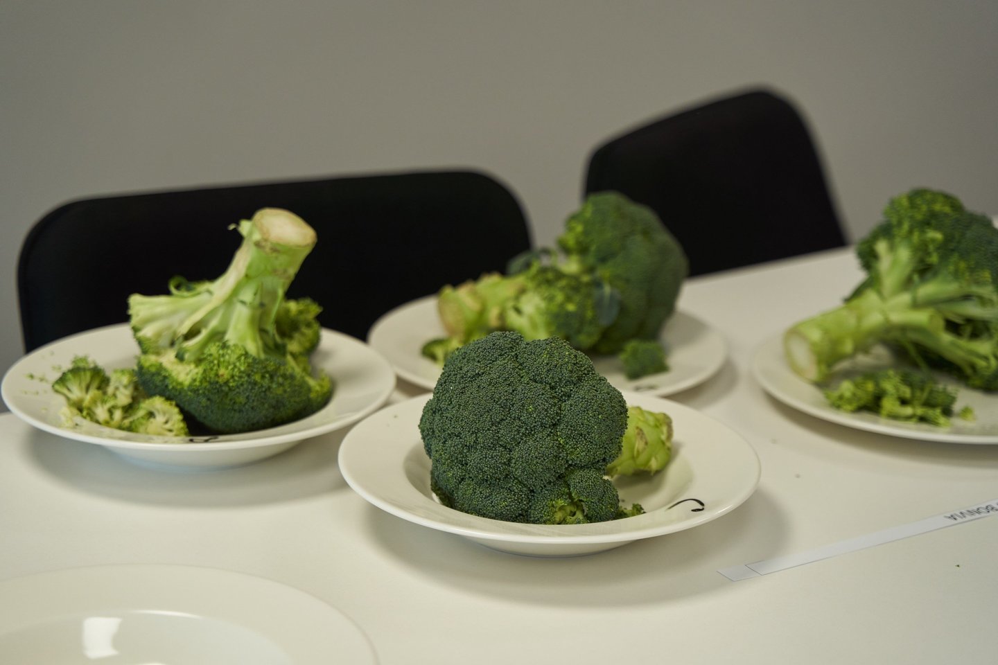 „Iki“ klientų valdyba ne tik susipažino su šiuo kokybiniu procesu, bet ir patys tapo jo dalimi – ragavo ir balais vertino perkamiausias gėrybes, įskaitant ir sezoninius vaisius bei daržoves.