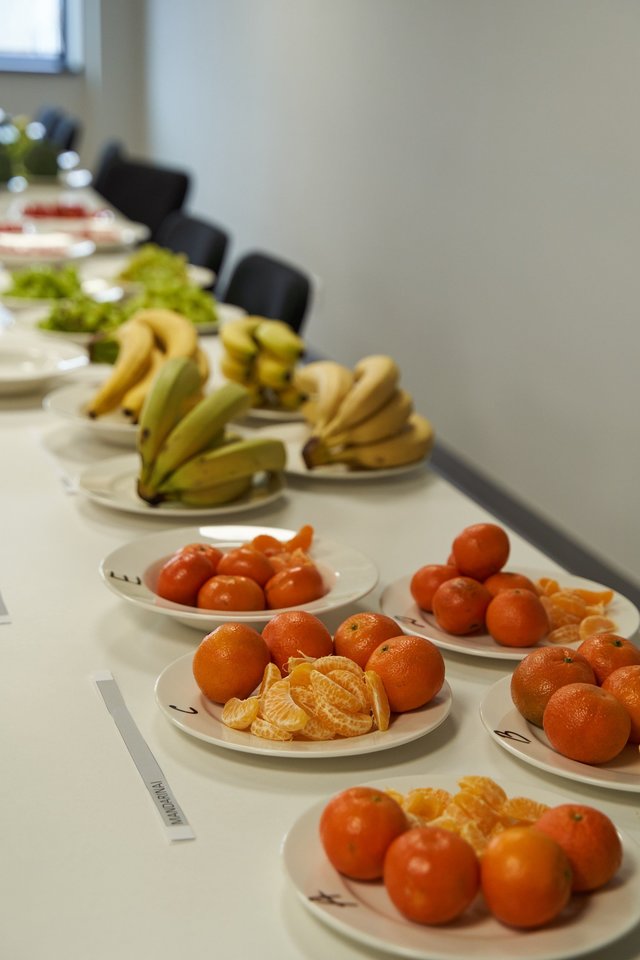 „Iki“ klientų valdyba ne tik susipažino su šiuo kokybiniu procesu, bet ir patys tapo jo dalimi – ragavo ir balais vertino perkamiausias gėrybes, įskaitant ir sezoninius vaisius bei daržoves.