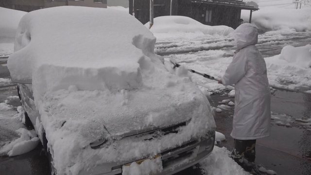 Japoniją kausto gausus sniegas: gyventojai įspėjami – tai dar ne pabaiga