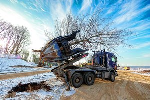 Tauro kalno ąžuolų toje pačioje vietoje nepamatysite: persodino su visomis šaknimis