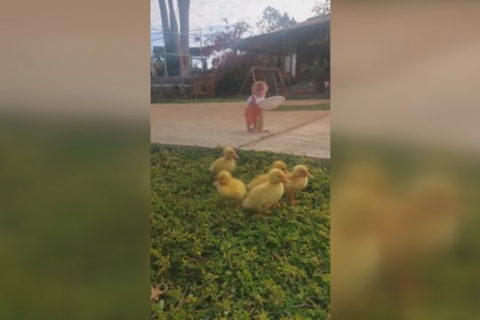 Beždžioniukas parodė tikrą rūpestį: nuoširdumu pavergė ne vieną