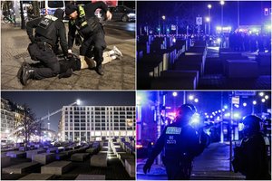 Dėl išpuolio prie Berlyno Holokausto memorialo įtariamas 19-metis siras