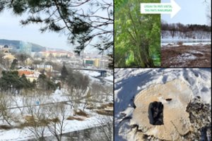 Prestižiniame Vilniaus rajone – skandalas: paviešino, kaip naikinama unikali erdvė