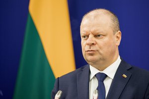 Kovą Demokratų sąjungos „Vardan Lietuvos“ pirmininko posto sieks ne tik S. Skvernelis: kandidatai yra du