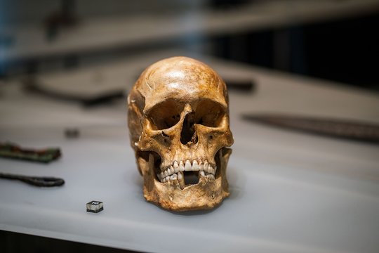 Vilniaus knygų mugėje kels klausimą: ar reikia Rusiją pervadinti Rosija?