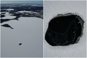 Netikėtas vaizdas – properšos neužšalo net šalčiausiomis dienomis: paaiškino, kodėl