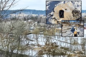 Po skandalo Žvėryne – drąsus savivaldybės atsakymas: iškirto kone 500 medžių, nes jie kėlė pavojų