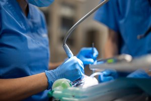 Patikrino Lietuvos atletų burnos sveikatą – šios problemos gali trukdyti siekti rezultatų