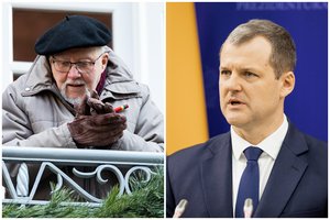 Užmojui naikinti V. Landsbergio valstybės vadovo statusą – G. Palucko vertinimas