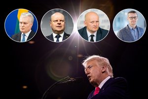 Po D. Trumpo pareiškimų – alternatyvos paieškos Lietuvoje: planas B ar pavojingas kelias?