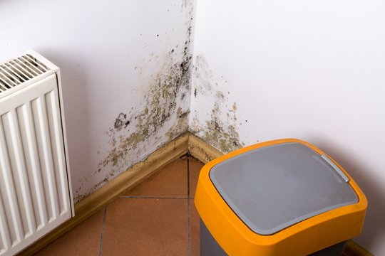 5 gudrybės, kaip išvengti drėgmės kvapo namuose: apsaugo ir nuo pelėsio