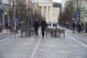 E. Šiškauskienė apie bankrotus Lietuvoje: situacija yra daug blogesnė nei atrodo