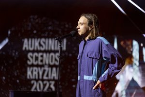 Prokuroras siūlo O. Šurajevui skirti 7 mėnesių laisvės apribojimą, nurodyti dalyvauti elgesio pataisos programose