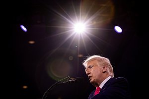 Seimo nariai nesutaria, kaip vertinti D. Trumpą: turi versiją ir dėl taikos derybų