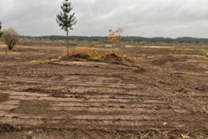 Įžūlūs pažeidimai saugomose teritorijose: žala aplinkai siekia beveik 8 tūkst. eurų