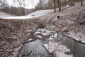 Išėjusi pasivaikščioti nustėro – po metų metus trukusių skundų situacija tik dar pablogėjo