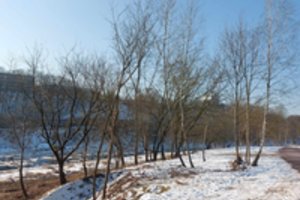 Po Neries pakrantės valymo Žvėryne, kitas savivaldybės žingsnis: kaip sureaguos bendruomenė?