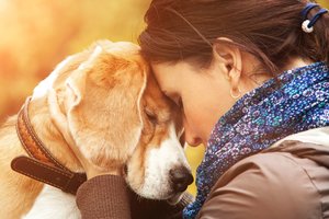 Psichikos sutrikimų gali turėti ir gyvūnai – ir štai kaip galime jiems padėti