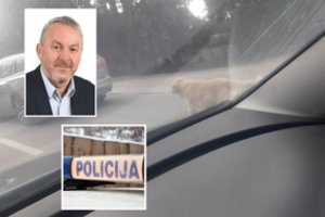 Darželio vadovas ir buvęs konservatorius savo šunį tempė pririšęs prie automobilio: teigė, kad vedžioti – per šalta