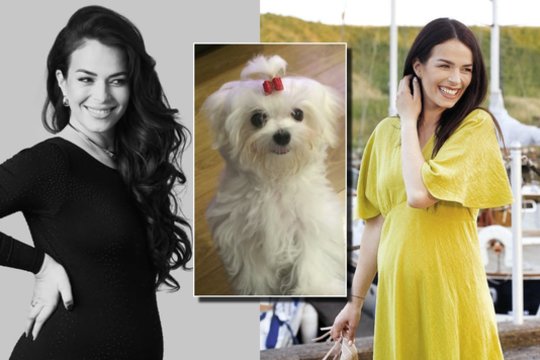 Marijos Silickajos šeimoje – skaudi netektis: augintinį prarado dėl žmonių mėgstamo deserto