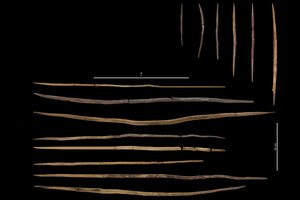 Kada senovės medžiotojai pradėjo naudoti ietis? Daug seniau, nei manėme iki šiol, sako naujas tyrimas