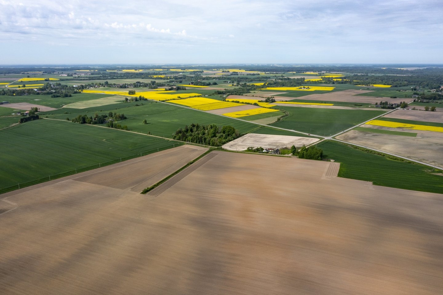Žemės ūkis.