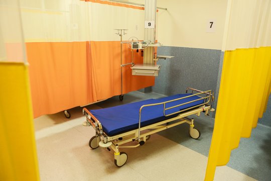 Sveikatos sektorių gelbės migrantais: Vyriausybė siekia pritraukti beveik 300 užsieniečių