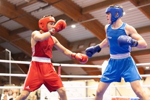 Panevėžyje vykusiame šalies čempionate paaiškėjo Lietuvos jaunimo bokso rinktinė