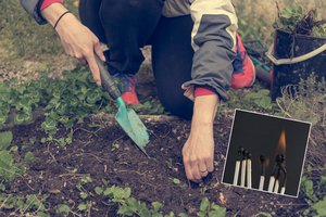 Patarė kovo mėnesį į dirvą įsmeigti degtukų: kam to reikia?