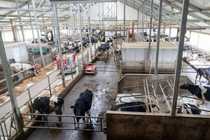 Pats laikas planuoti investicijas – paramos sąlygos jau yra numatytos, paskelbti kvietimai lengvatinėms paskoloms