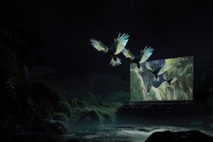 „Xiaomi TV S Mini LED“ – kur kas daugiau nei galima reikalauti iš televizoriaus